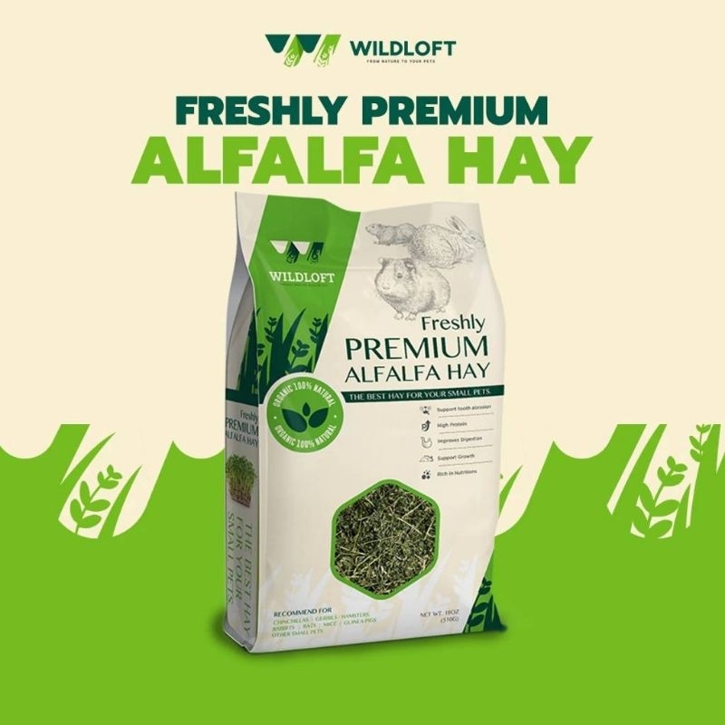 Alfalfa Hay Premium 510g. หญ้าอัลฟาฟ่าก้านคัดพิเศษ อาการกระต่าย สัตว์ฟันเเทะ