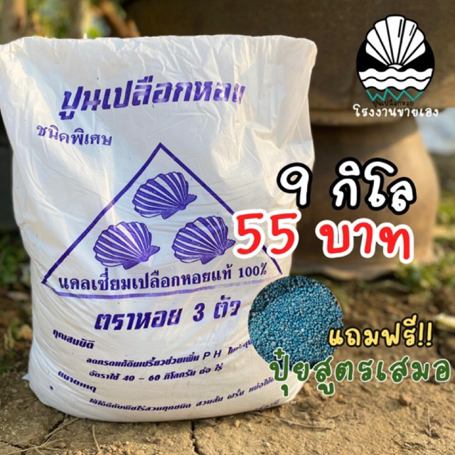 ถูกที่สุด ส่งทันที💥ปูนเปลือกหอย 9 กิโล ปรับสภาพดิน ปูนขาว ฆ่าเชื้อราในดิน ปรับค่าphในน้ำ ไล่แมลง มด หอยทาก