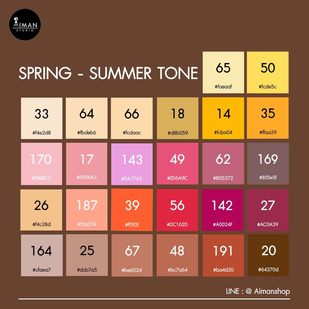 ฉากกระดาษ Limbo Paper Background 2x3 เมตร (Summer-Spring Tone/เลือกได้ 1 สี)
