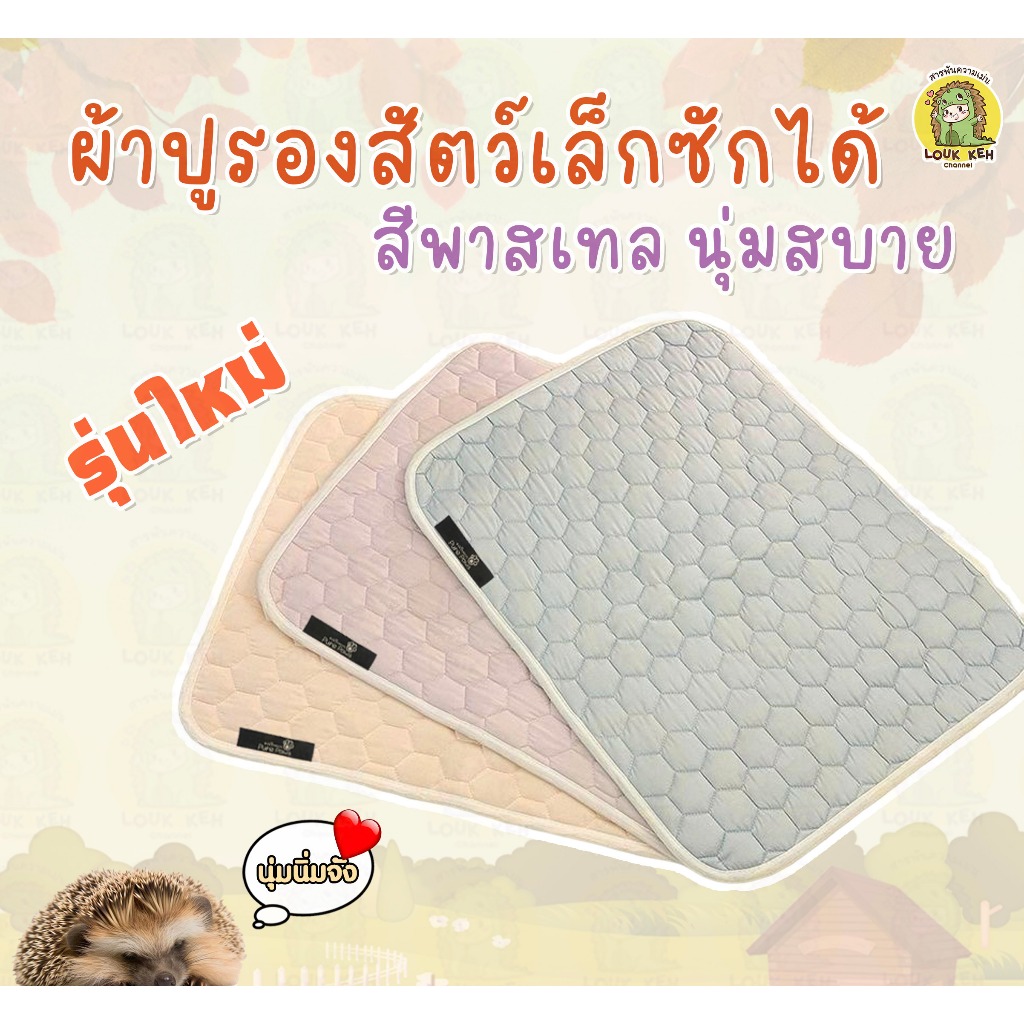 ผ้าปูรองสัตว์ซักได้ สำหรับสัตว์เลี้ยงขนาดเล็ก Pure Paws