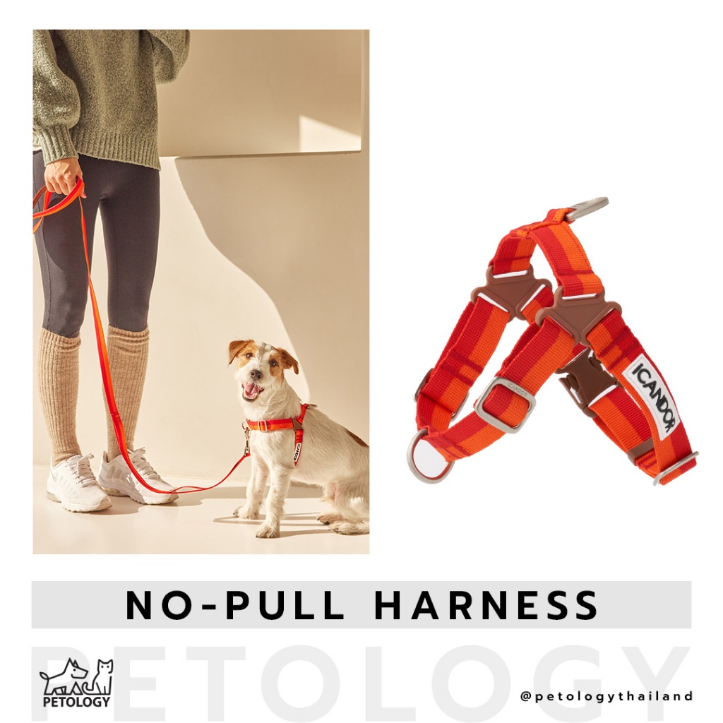 Petology - iCandor รุ่น No-Pull Harness ( มี 8 สี )