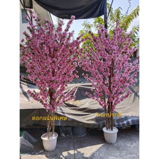 ต้นซากุระไม้ประดิษฐ์ สูง180 ซม. ต้นไม้เทียมเกรดเอ