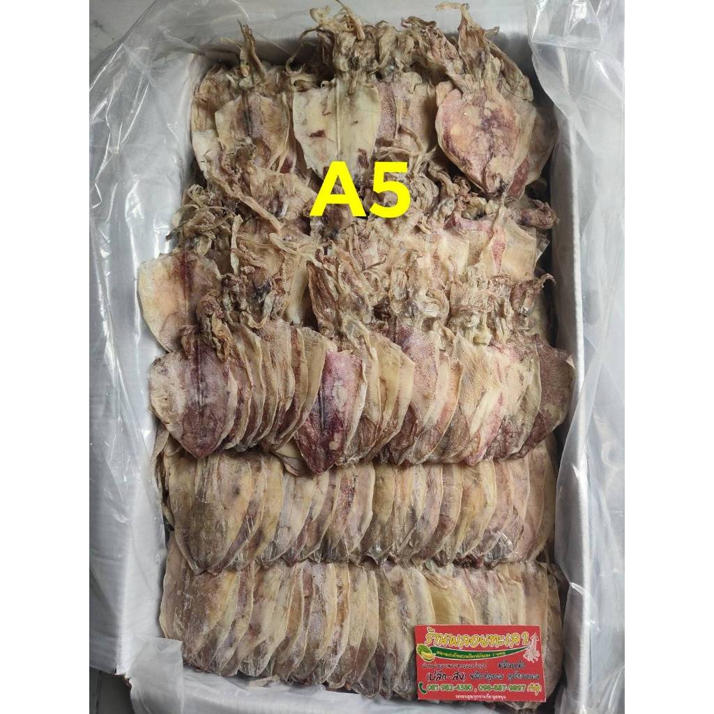 ปลาหมึกผ่าเนิ้อหวานขนาดA5นน.500กรัม