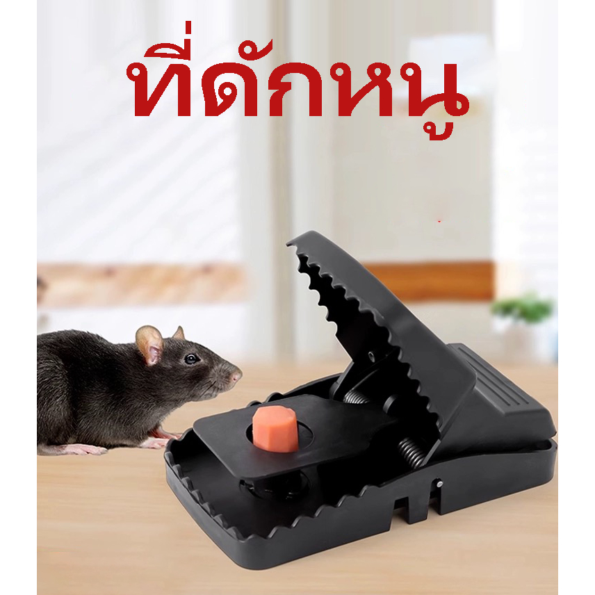 ที่ดักหนู อุปกรณ์ดักหนู กับดักหนูบ้านแบบสปริง เหยื่อดักหนู สารกำจัดหนู(Clip Mouse)เพิ่มความหนา ใช้ซ้ำได้ พร้อมส่ง