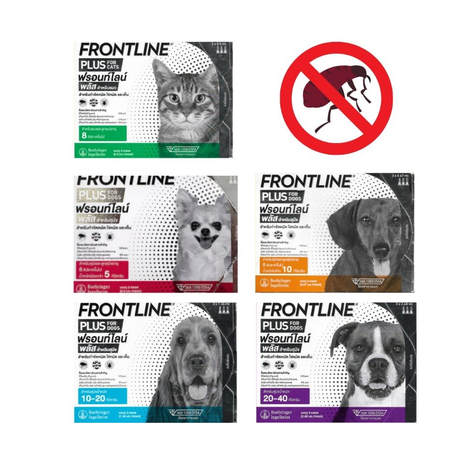 Frontline Plus ฟรอนท์ไลน์ พลัส ยาหยดกำจัดเห็บหมัด เห็บแมว หมัด แมว หมา สุนัข