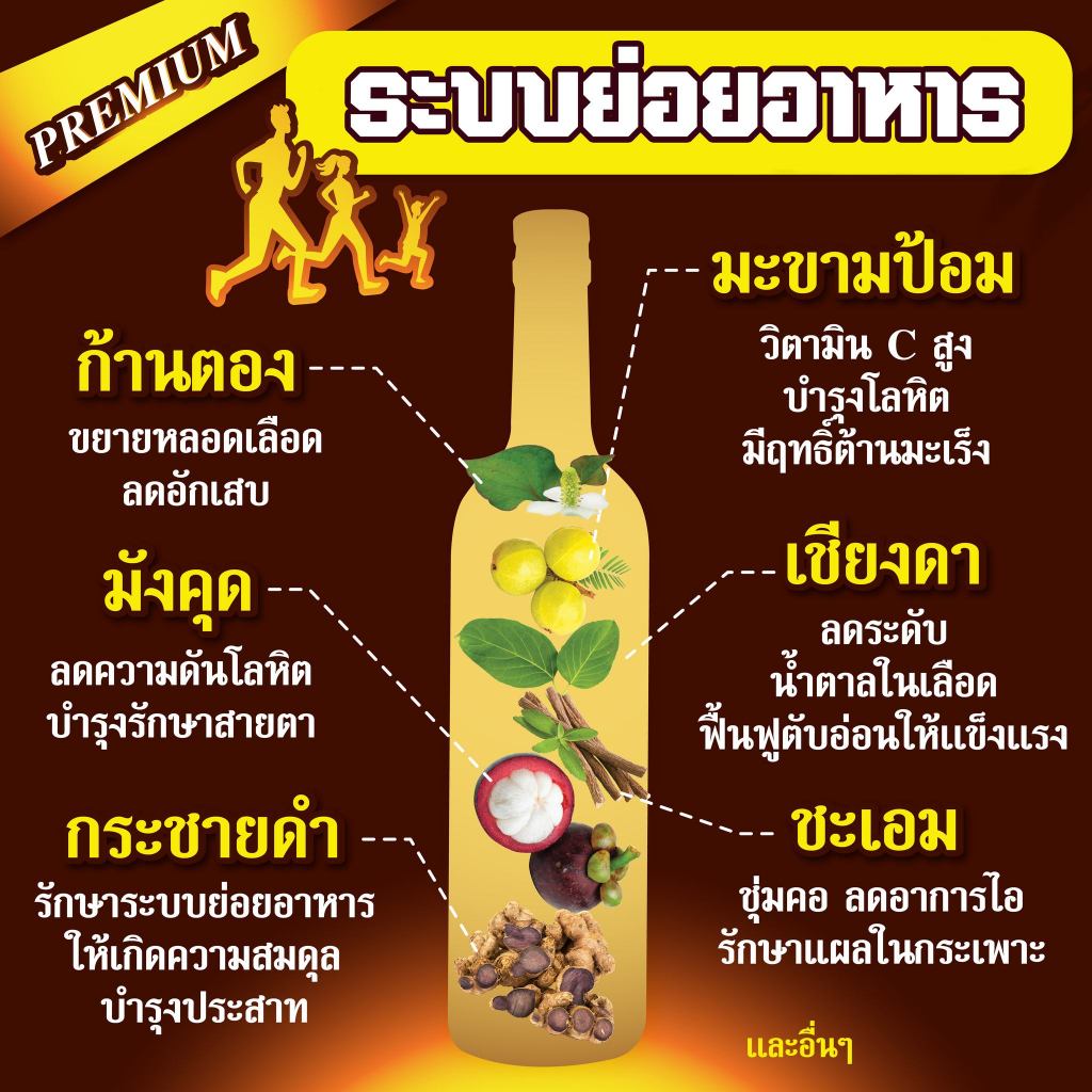 สูตร MYFRIEND ช่วยเรื่องระบบย่อยอาหาร  สมุนไพรก้านตอง หมออุบล