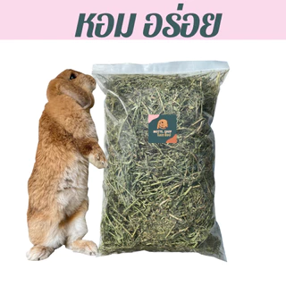 หญ้าอัลฟาฟ่าเส้น Alfalfa เกรดพรีเมียม ร่อนฝุ่น 1 กิโลกรัม