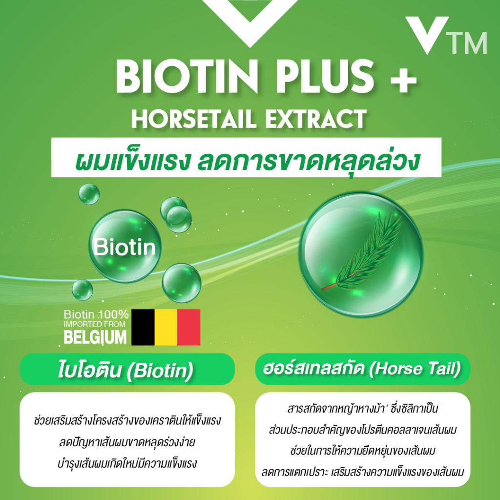 VTM Biotin Plus Horsetail วีทีเอ็ม ไบโอติน วิตามินบำรุงผม แก้ผมร่วง ผมหนาขึ้น แข็งแรง เร่งผมยาว รูปที่ 4