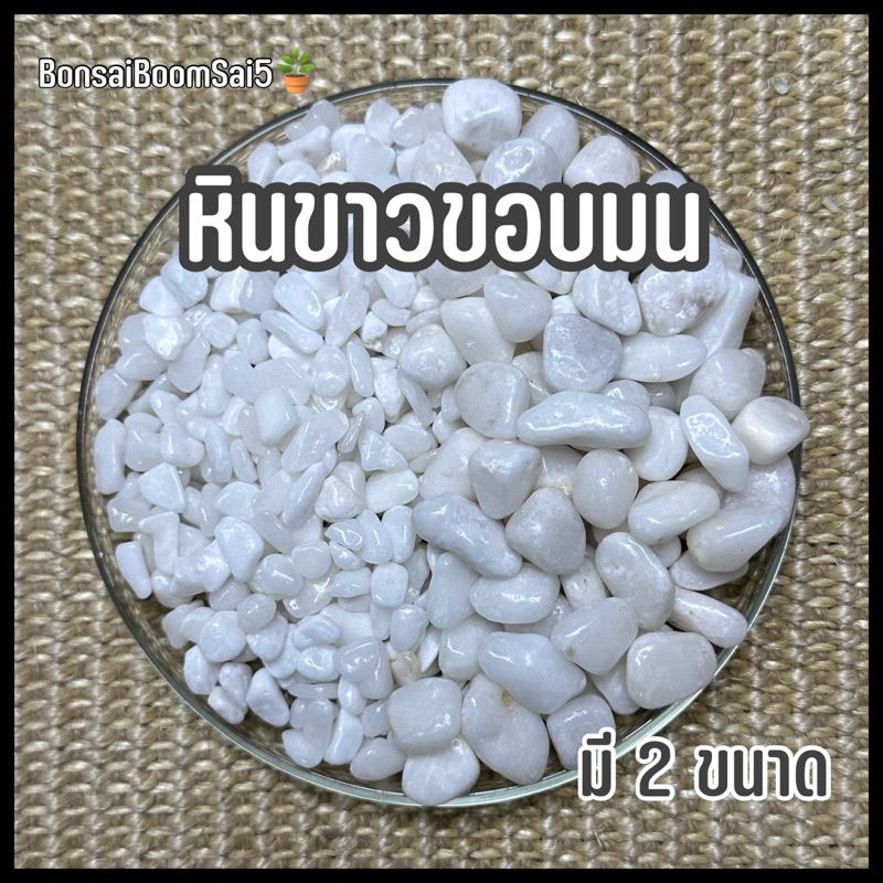 หินขาวขอบมน หินโรยกระถางต้นไม้ โรยทางเท้า