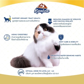 Kaniva คานิว่า อาหารแมว กระสอบ 6-10kg อาหารเม็ด สำหรับแมวทุกสายพันธุ์ ทุกช่วงวัย ถูกมาก! พร้อมจัดส่งด่วน