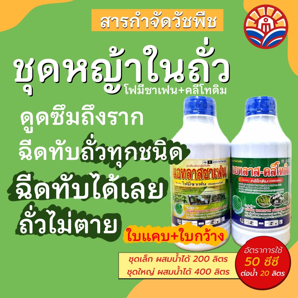 ส่งด่วน! ชุดเก็บหญ้าเรียบ ใบแคบ+ใบกว้าง ฉีดทับในถั่ว ชุดฆ่าหญ้า ในถั่ว ฉีดทับได้ ถั่วไม่ตาย 1 ชุด