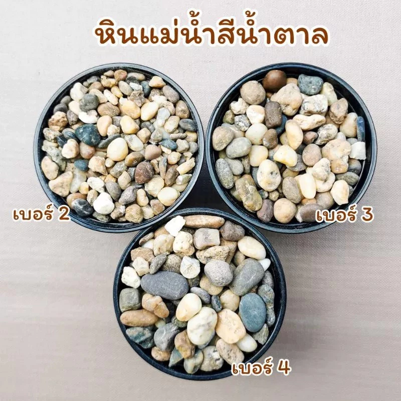 หินโรยหน้ากระถาง 1 กิโลกรัม โรย แคคตัส บอนไซ ตู้ปลา จัดตู้ปลา สวยมาก หินแม่น้ำขาว โขง เทาฟ้า thumbnail 4