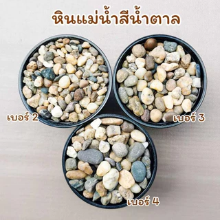 หินโรยหน้ากระถาง 1 กิโลกรัม โรย แคคตัส บอนไซ ตู้ปลา จัดตู้ปลา สวยมาก หินแม่น้ำขาว โขง เทาฟ้า