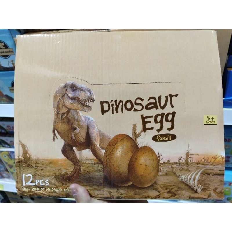 Dinosaur Egg fossil 🦖/ของเล่นไข่ไดโนเสาร์ฟอสซิล/แพ๊ค12ชิ้น