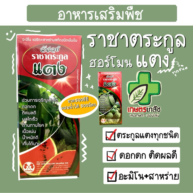 ราชาตระกูล แตง ฮอร์โมนแตง แตงกวา แตงโม เมลอน 500cc
