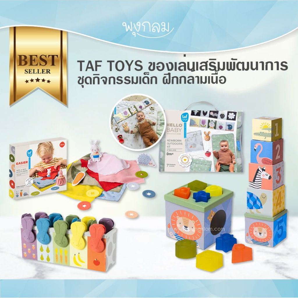 TAF TOYS ของเล่นเสริมพัฒนาการเด็ก เกมส์ของเล่น กล่องหยอดบอล GRP