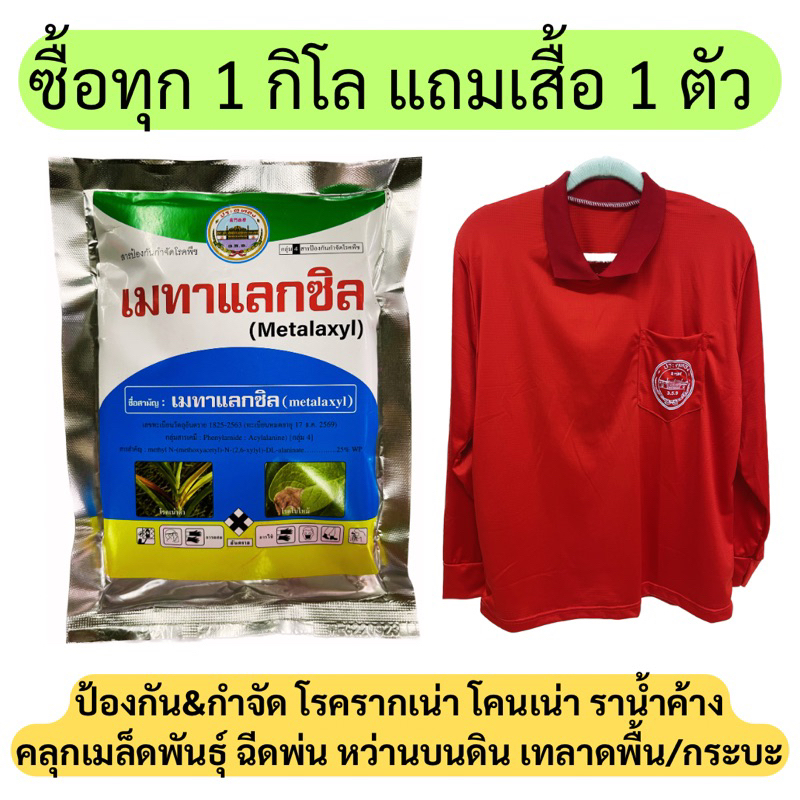 เมทาแลกซิล 25% WP ขนาด 100 กรัม ป้องกันและกำจัดเชื้อรา โรครากเน่า โคนเน่า โรคเนาคอดิน โรคไฟท๊อปเทอร่า ราน้ำค้าง