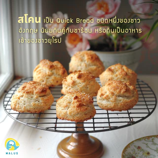 [ขั้นต่ำ4ชิ้นคละได้] Malus Cookie คุกกี้นิ่ม ไฟเบอร์ดีท็อกซ์ หวานน้อย ขนมคลีน โอ๊ตมีล ลูกเกด ธัญพืช