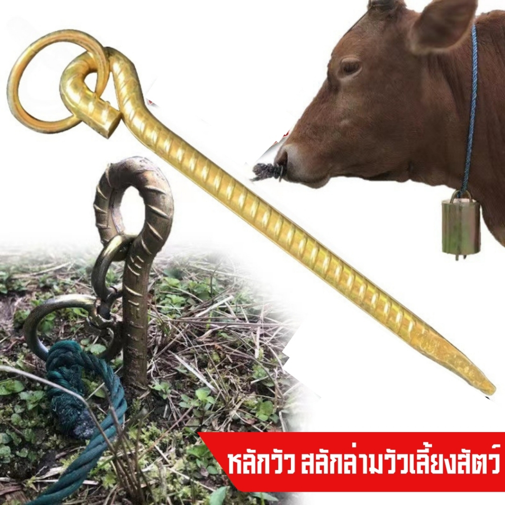 หลักวัว สลักล่ามวัวเลี้ยงสัตว์ หมุนรอบทิศทาง 360 องศา ทำให้วัวไม่พันหลัก สามารถใช้งานอเนกประสงค์ได้