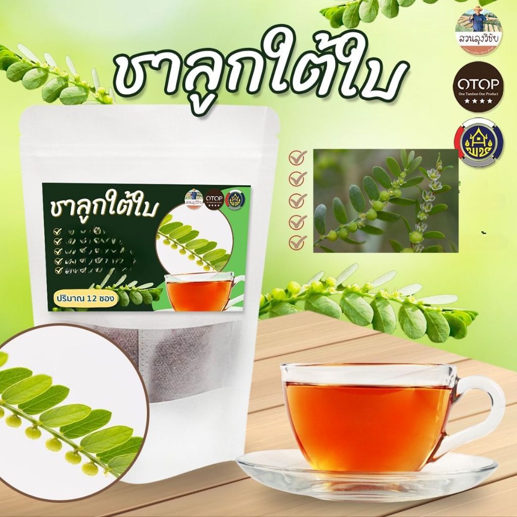 ชาชงลูกใต้ใบ ชาลูกใต้ใบ ชาสมุนไพรแบบซอง ไม่มีน้ำตาล ปลอดสารพิษ สนับสนุนชุมชน 12 ซองชา