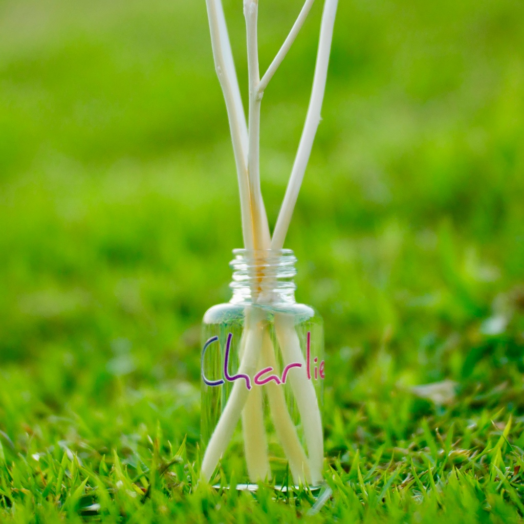 Enchanted Forest Reed Diffuser 25 ml