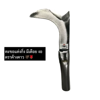 ตะขอแต่งกิ่ง มีเดือย งอ ตราค้างคาว มีดตัดกิ่ง มีดแต่งกิ่งทุเรียน แต่งแขนงทุเรียน แต่งกิ่งผลไม้