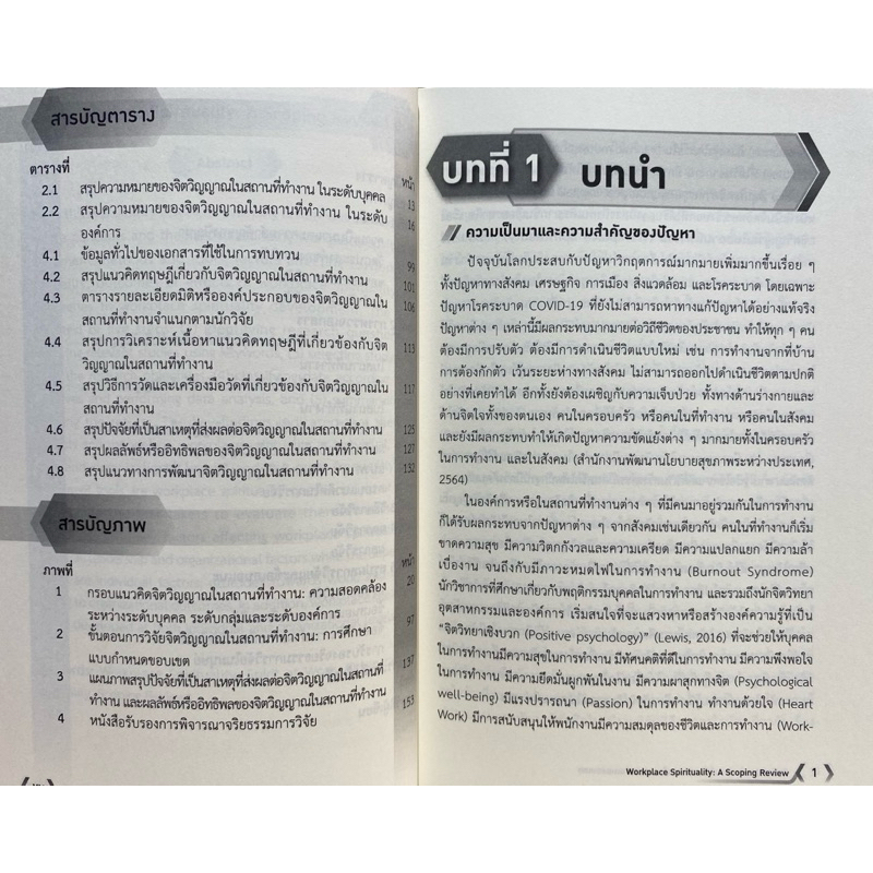 9786162788024 c111จิตวิญญาณในสถานที่ทำงาน :การศึกษาแบบกำหนดขอบเขต (WORKPLACE SPIRITUALITY: A SCOPING REVIEW) - รูปที่ 3