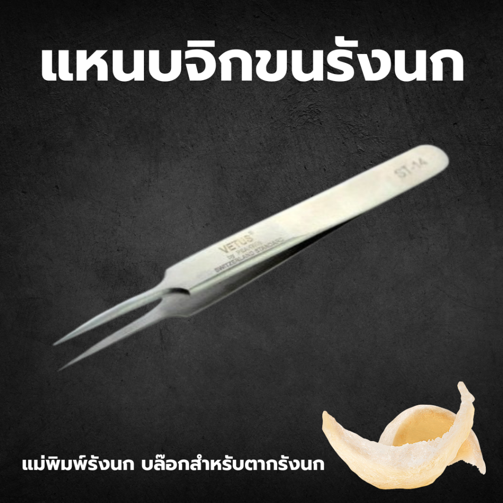 แหนบสแตนเลส แหนบจิกรังนก ถอนขน VETUS TWEEZERS รุ่นST-14 ของแท้100% อุปกรณ์ทำความสะอาดรังนก