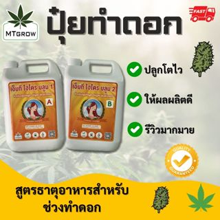 ปุ๋ยน้ำ AB กัญชา 420 ทำใบ ทำดอก 5 ลิตร Hydro / coco