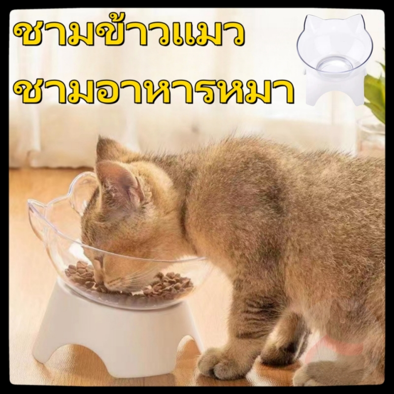 ชามแมว ชามอาหารหมา ชามใส่อาหารสำหรับสัตว์เลี้ยง ชามปรับองศา