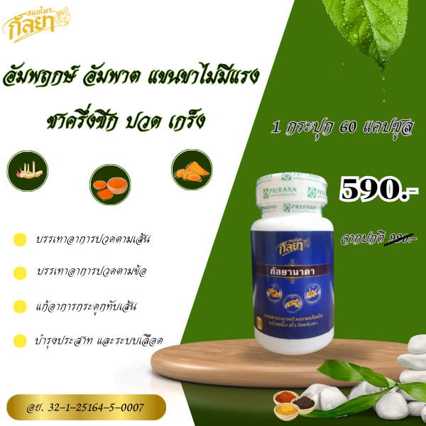 กัลยานาคา สมุนไพร 100% เส้นยึดตึง ข้อเข่าติด ข้อเสื่อม กระตุ้นการทำงานของระบบประสาท บรรจุ 60 แคปซูล จัดส่งฟรี