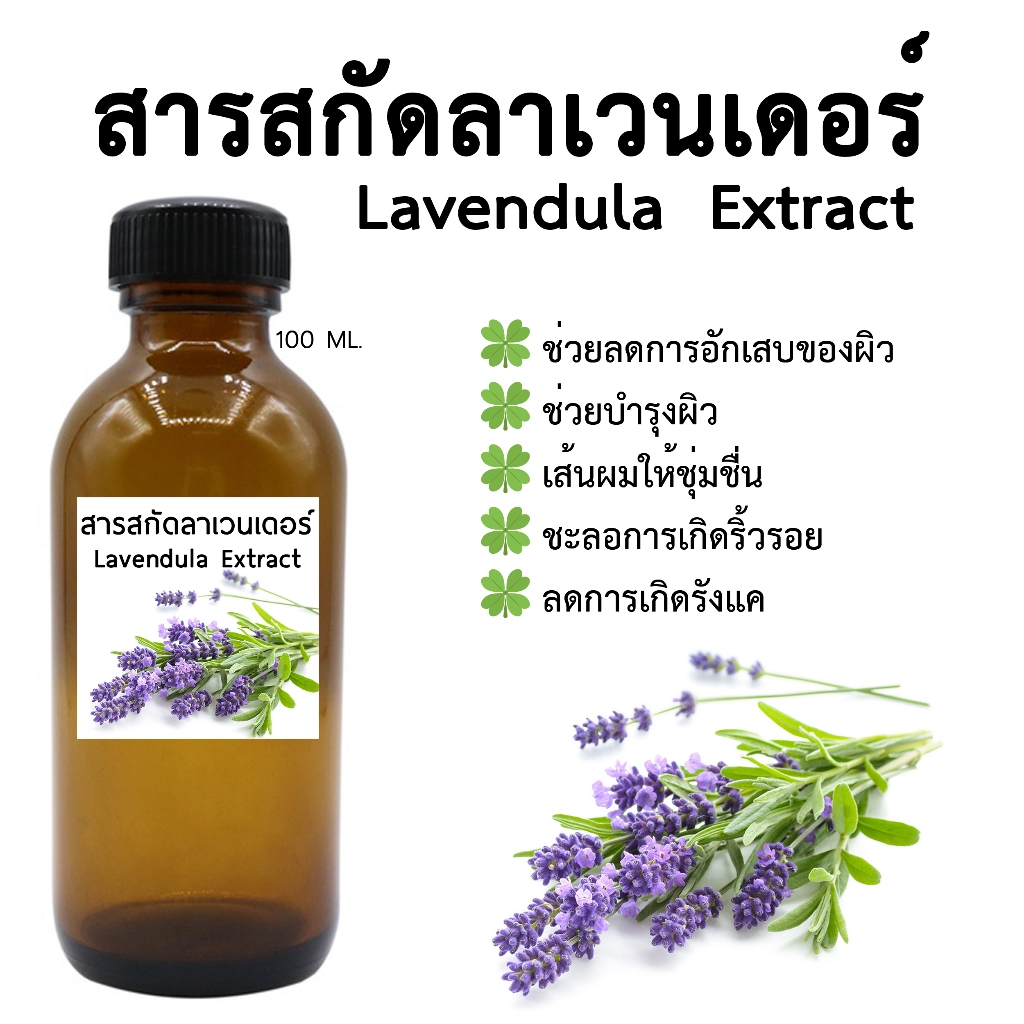 สารสกัดลาเวนเดอร์ Lavendula Extract 100 ML I สารสกัดสมุนไพรสำหรับใช้ในเครื่องสำอาง