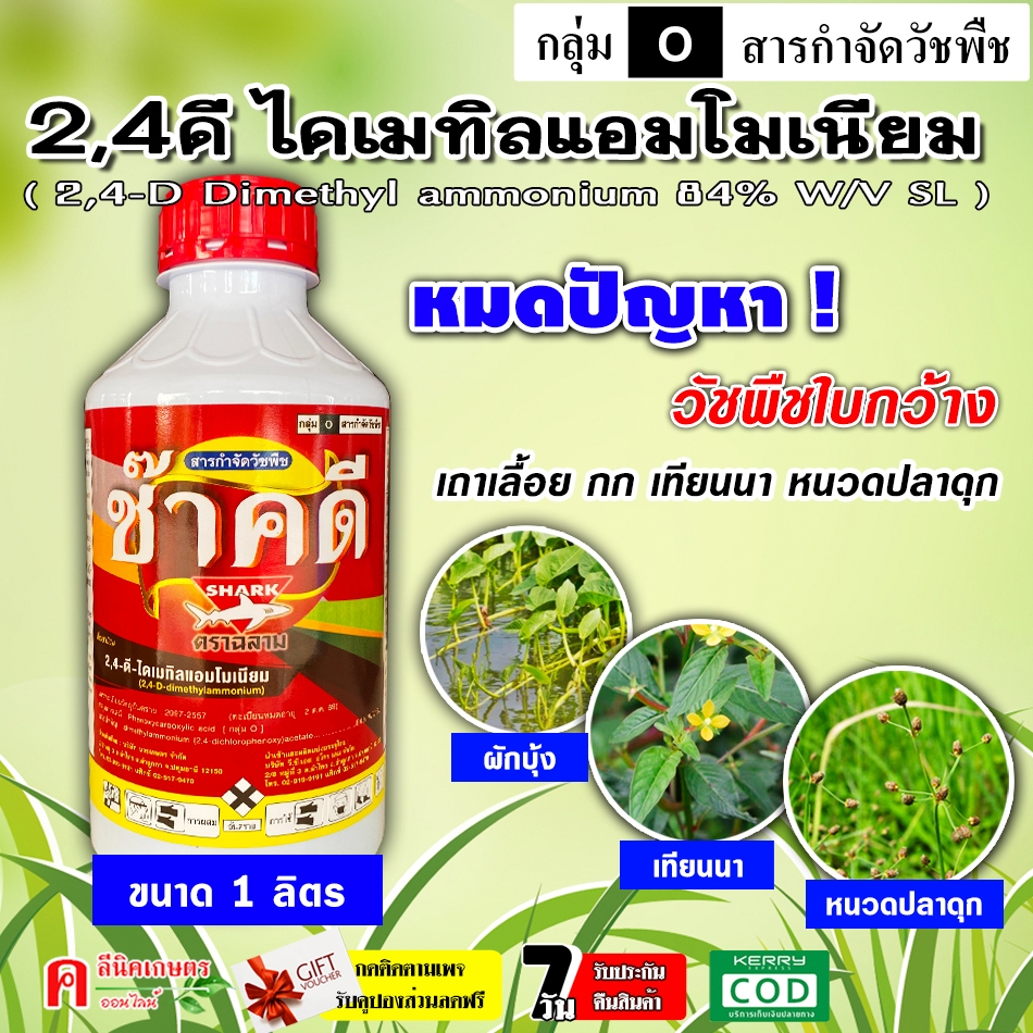 ช๊าคดี้ 2-4ดี ทูโฟดี ( น้ำ )(1 ลิตร ) ใช้กำจัดวัชพืช ประเภทใบกว้าง ผักปอดนา เทียนนา โสนหางไก่ กก