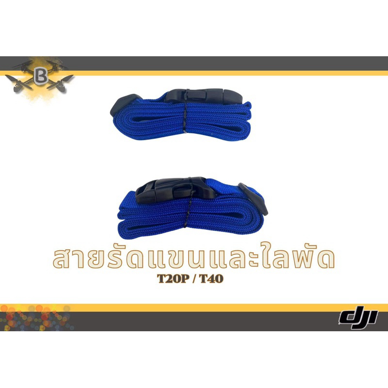 รูปภาพ 5