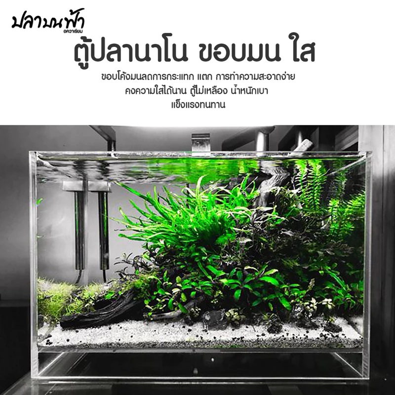 ตุ้นาโนหน้าโค้ง 9 นิ้ว, 10 นิ้ว, 12 นิ้ว 30*19*21 ซม. /30*17*20 ซม. หนา 4 มม. สำหรับเลี้ยงปลา ไม้น้ำ thumbnail 3