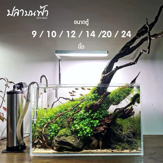 ตุ้นาโนหน้าโค้ง 9 นิ้ว, 10 นิ้ว, 12 นิ้ว 30*19*21 ซม. /30*17*20 ซม. หนา 4 มม. สำหรับเลี้ยงปลา ไม้น้ำ