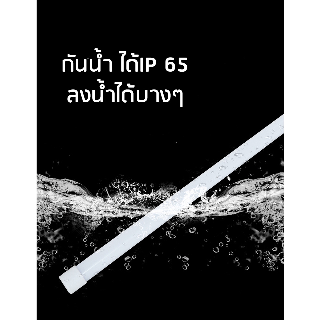 รูปภาพ 3