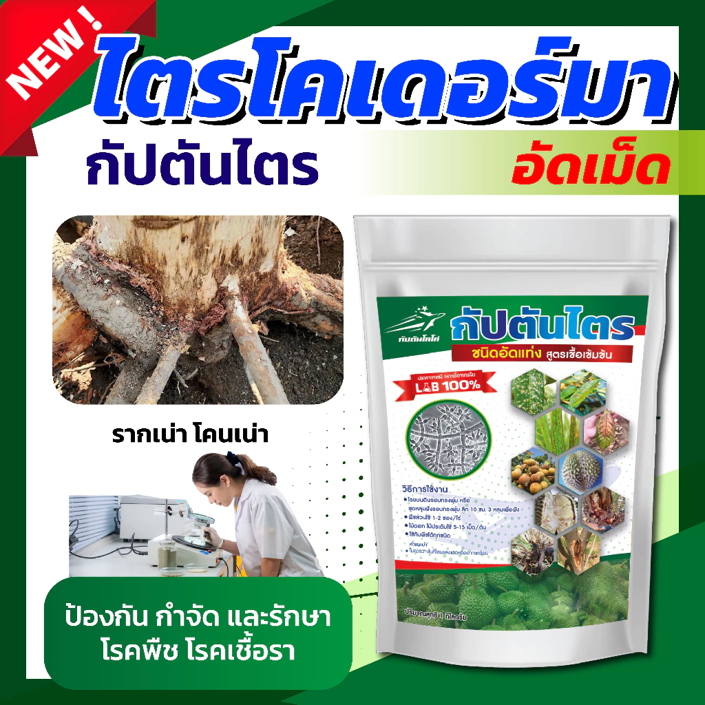ไตรโคเดอร์มาอัดเม็ด กัปตันไตร สายพันธุ์คู่ สูตรเข้มข้น ขนาด 1 กิโลกรัม thumbnail 9
