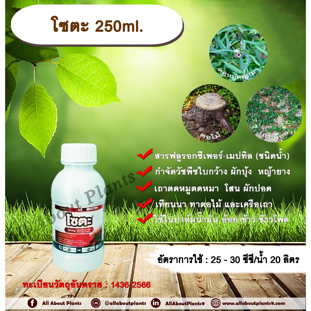 โซตะ 250ml. ฟลูรอกซีเพอร์-เมปทิล สารกำจัดวัชพืช ออกฤทธิ์ดูดซึม กำจัดวัชพืชใบกว้าง ผักบุ้ง  หญ้ายาง เถาตดหมูตดหมา  โสน ผั