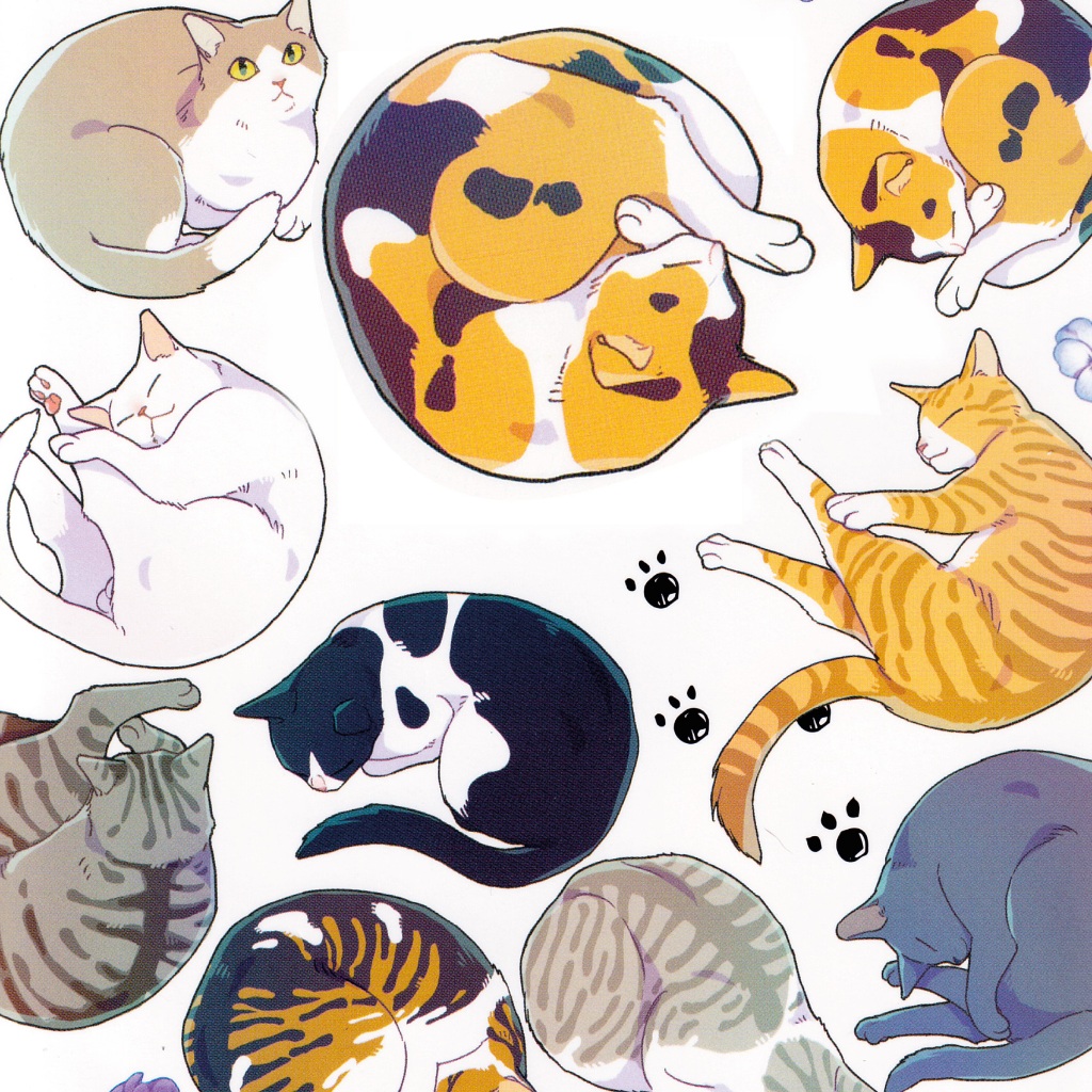 การ์ตูนวาย C3 แมวดำจะฝันถึงเจ้าชายหมาป่าได้ไหม - รูปที่ 2