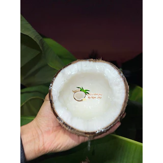🥥ราคาดีที่สุด มะพร้าวกะทิทับสะแก มะพร้าวกะทิเนื้อฟูนุ่ม ทานอร่อย ส่งตรงจากสวนทับสะแกทุกลูก