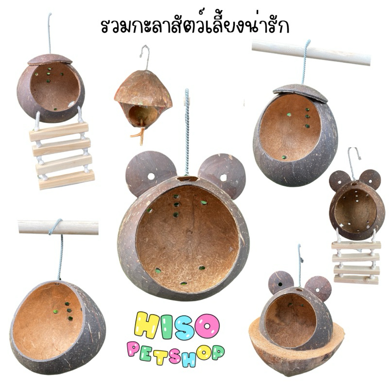 กะลา ของเล่นสัตว์เลี้ยง ชูก้า,นก,กระรอก ไม่มีสารเคลือบ ปลอดภัยต่อสัตว์100%