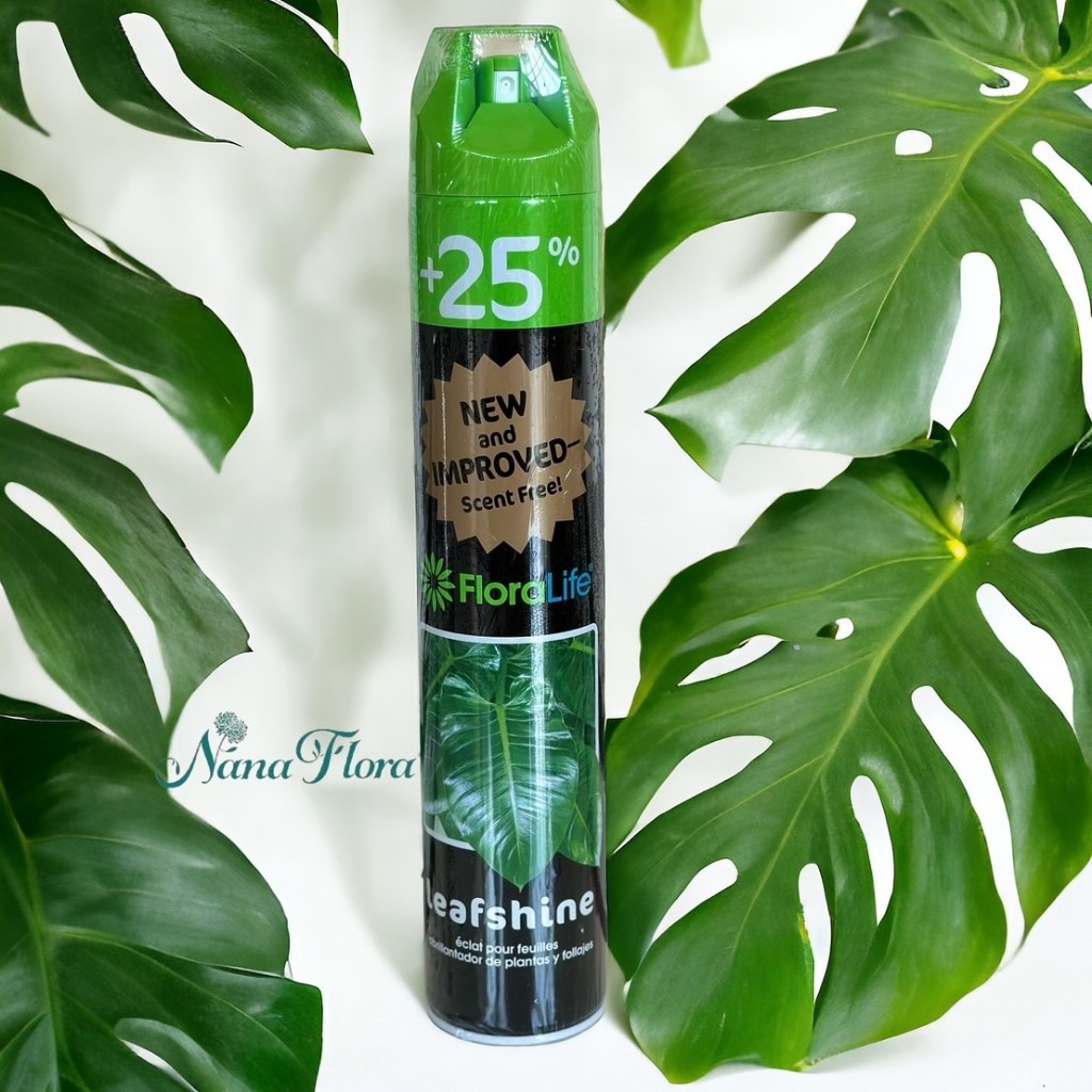 สเปรย์ใบมัน สเปรย์เคลือบเงาใบไม้ 750 ML Leafshine Floralife