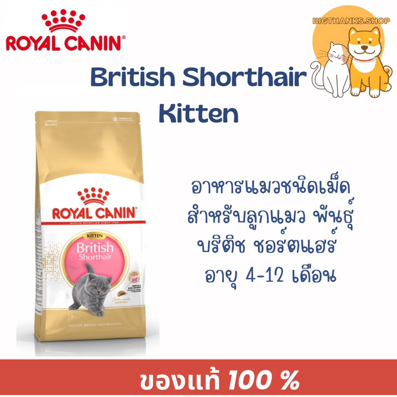 Exp.01/27 Royal canin Kitten British 2 kg. อาหารเม็ด สำหรับลูกแมวพันธุ์บริติช ชอร์ตแฮร์ อายุ 4-12 เดือน