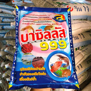 บาซิลลัส999 จุลินทรีย์ผงสำหรับบำบัดน้ำเสียในบ่อเลี้ยงสัตว์น้ำ ช่วยสร้างสีน้ำ ลดความเครียด ควบคุม pH