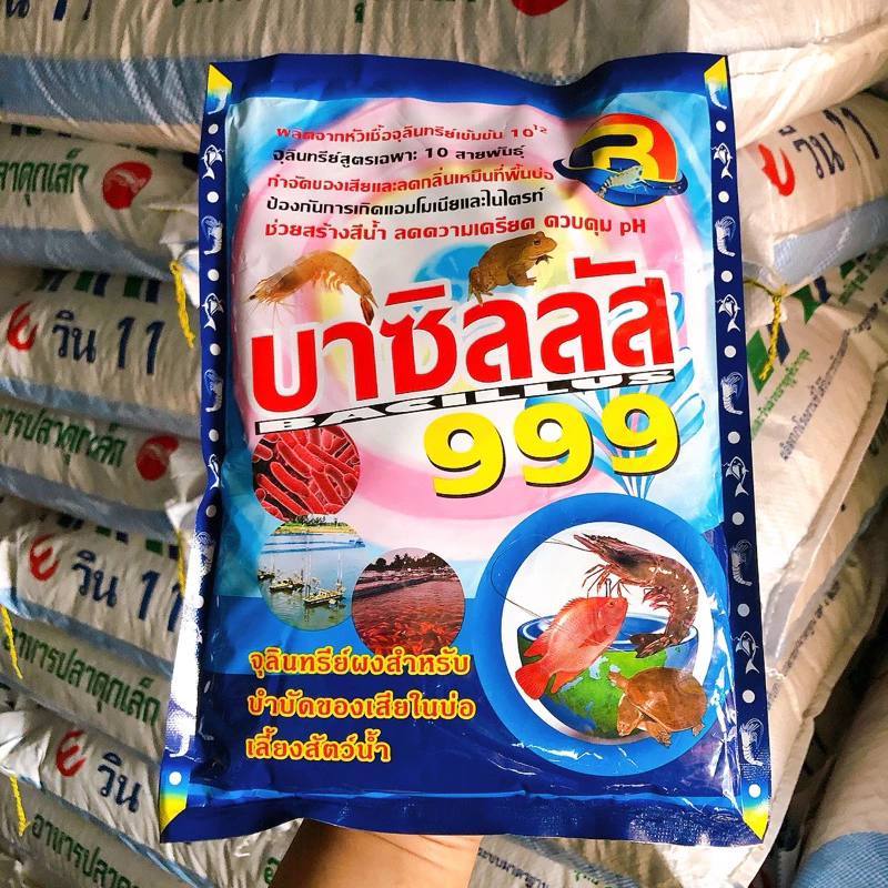 บาซิลลัส999 จุลินทรีย์ผงสำหรับบำบัดน้ำเสียในบ่อเลี้ยงสัตว์น้ำ ช่วยสร้างสีน้ำ ลดความเครียด ควบคุม pH