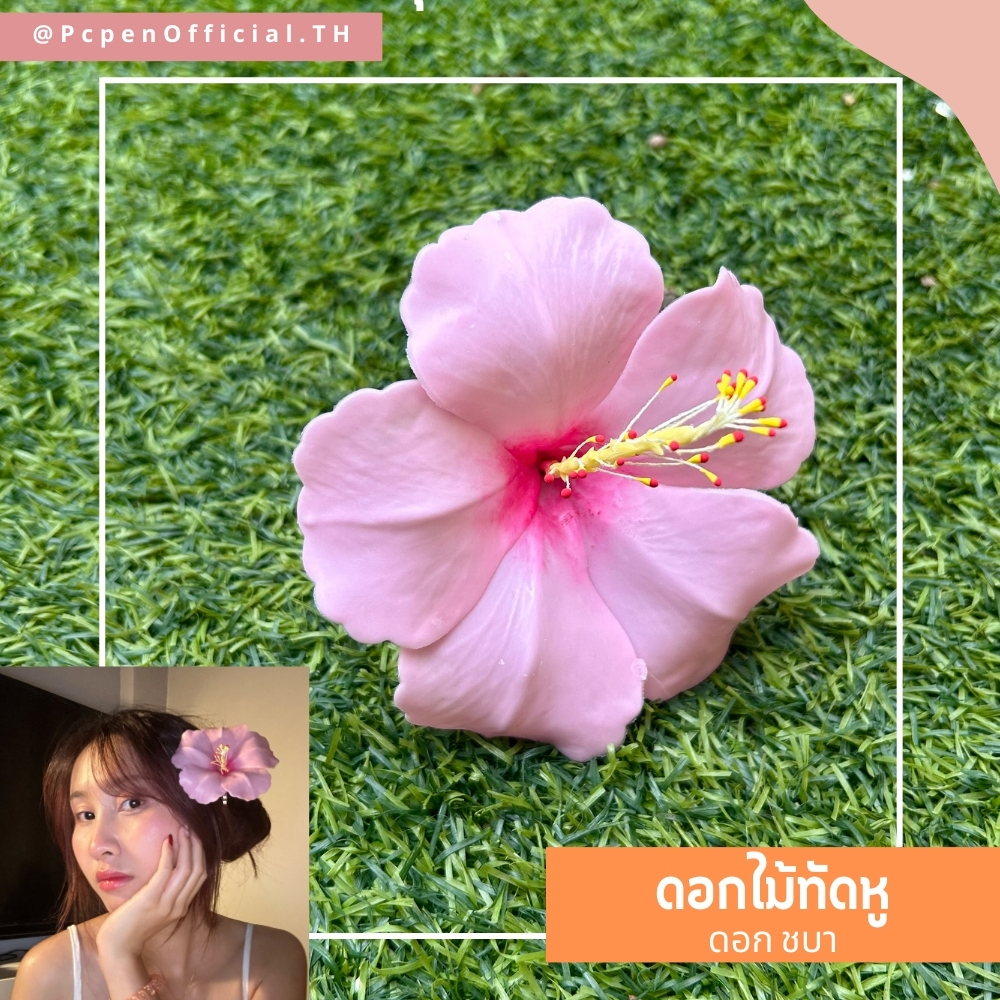 ดอกไม้ทัดหู ดอกชบา ดัดจัดทรงได้ แต่งหน้าโทนไหนก็รอดด