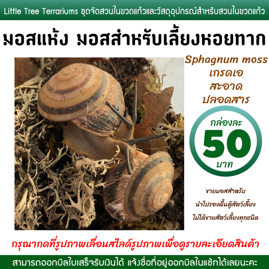 มอสเลี้ยงหอยทาก มอสแห้ง สแฟ็กนั่มมอส Sphagnum moss กล่องละ 50 บาท