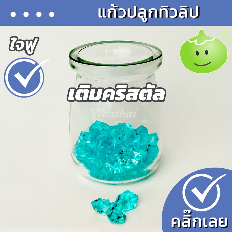แก้วปลูกไฮยาซิน มีหลายแบบให้เลือก Wanthai ขายหัวลินลี่ ไฮยาซิน ทิวลิป ต้นไม้ฟอกอากาศ เมล็ดดอกไม้ – โปรปัง