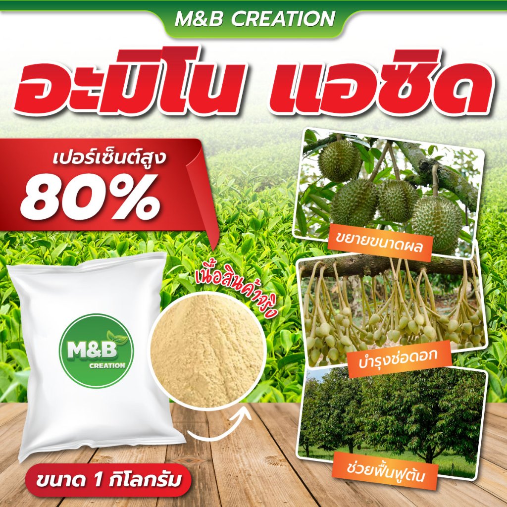 สินค้าขายดี อะมิโน แอซิด (Amino Acid Power) 80% ขนาด 1 กิโลกรัม